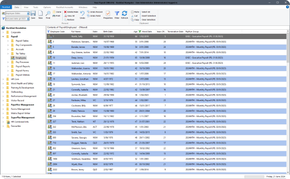 Powerful Payroll Software tools